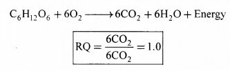 Plus One Botany Notes Chapter 10 Respiration in Plants 10