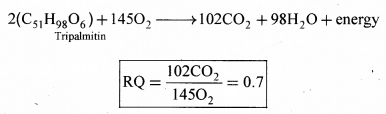 Plus One Botany Notes Chapter 10 Respiration in Plants 11