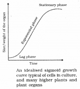Plus One Botany Notes Chapter 11 Plant Growth and Development 5